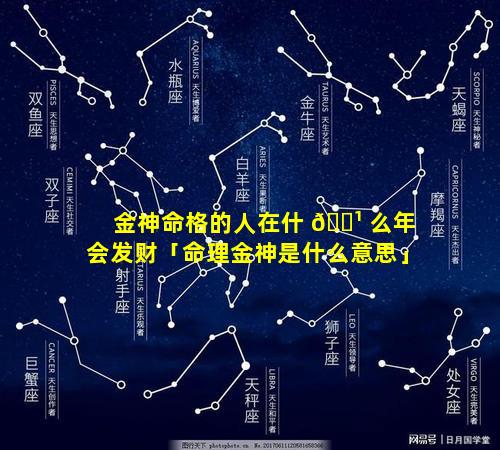 金神命格的人在什 🌹 么年会发财「命理金神是什么意思」